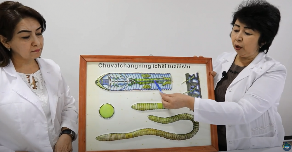 7-sinf Zoologiya fanidan 2-laboratoriya ishi