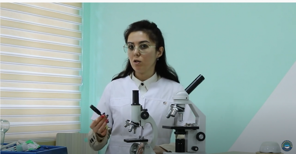 5-класс 2-Лабораторная работа